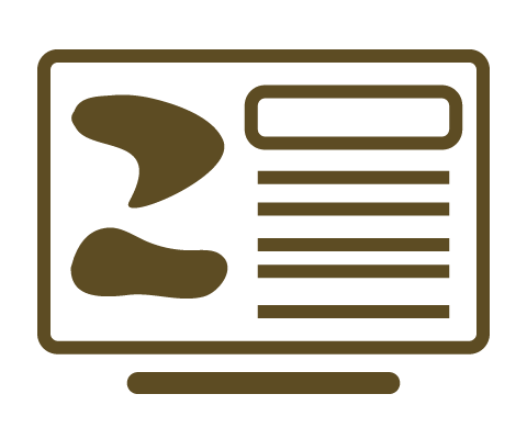 Website Design & Development